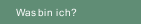 Was bin ich?